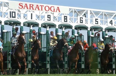 exacta box calculator|racing dudes wagering calculator.